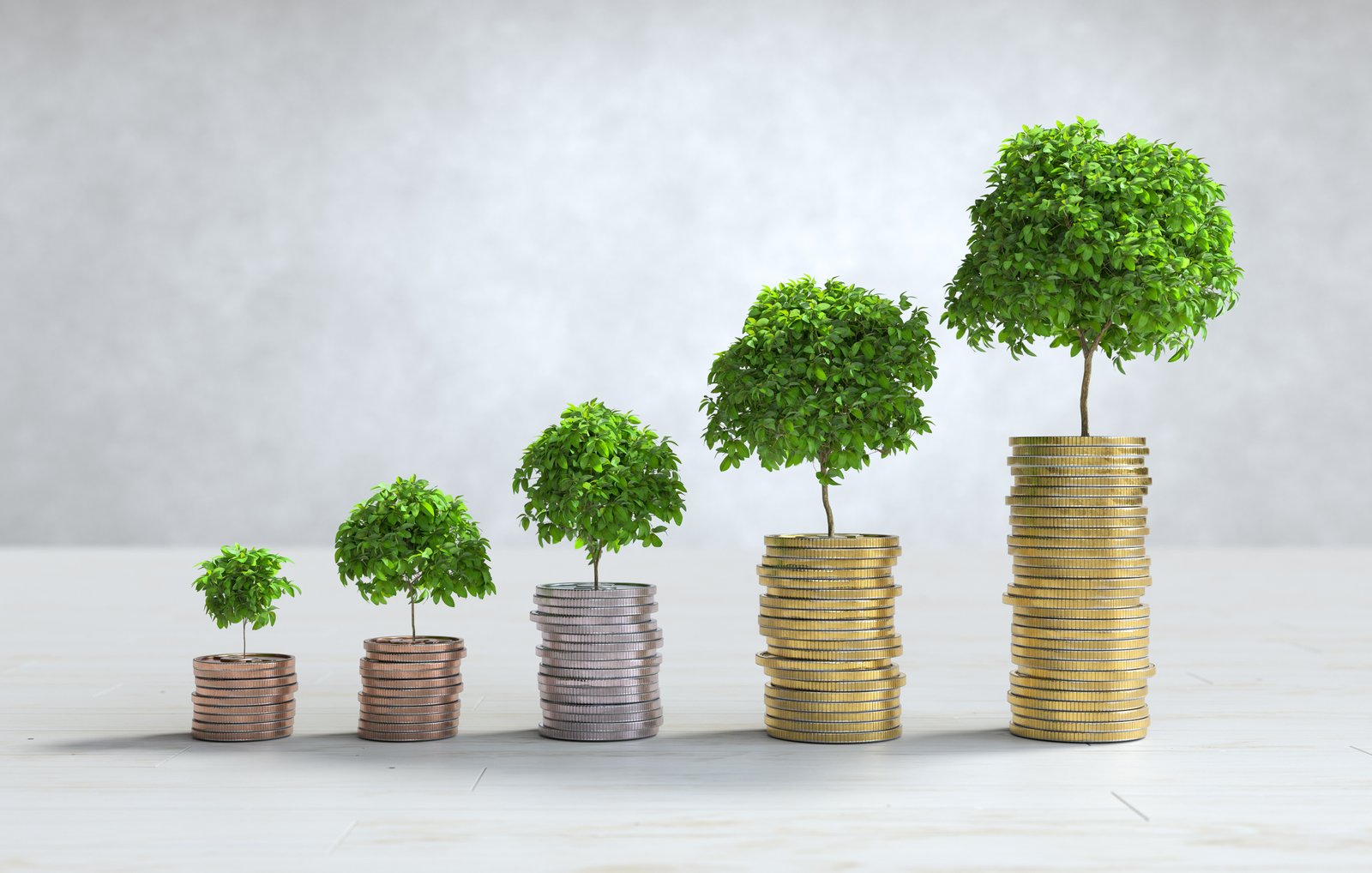 Business Growth